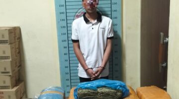 Sat Narkoba Polres Agara Bongkar Peredaran Ganja, 17,8 Kg Disita di Kecamatan Ketambe